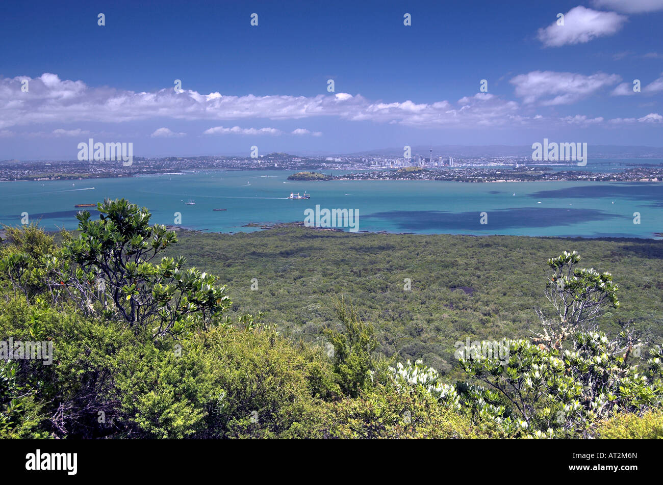 Vista di Auckland dall'Isola di Rangitoto, Isola del Nord, Nuova Zelanda Foto Stock