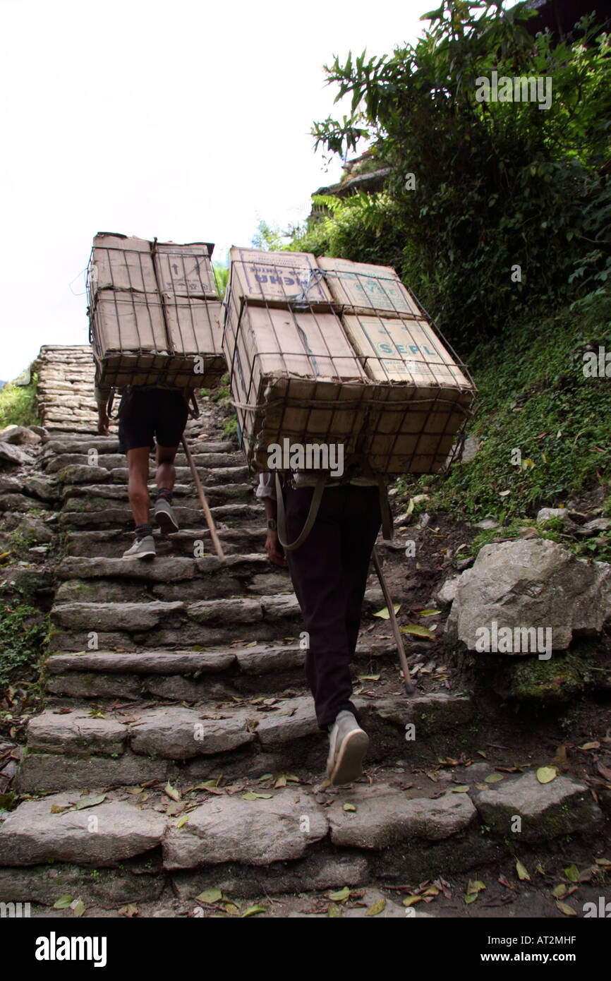 Gli Sherpa recanti disposizioni i gradini per Chomrong nell'Annapurna Mountain Range, l'Himalaya, il Nepal Foto Stock