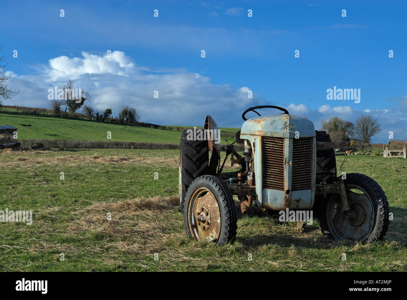 Il vecchio trattore Ferguson in un campo di somerset con nuvole in background Foto Stock