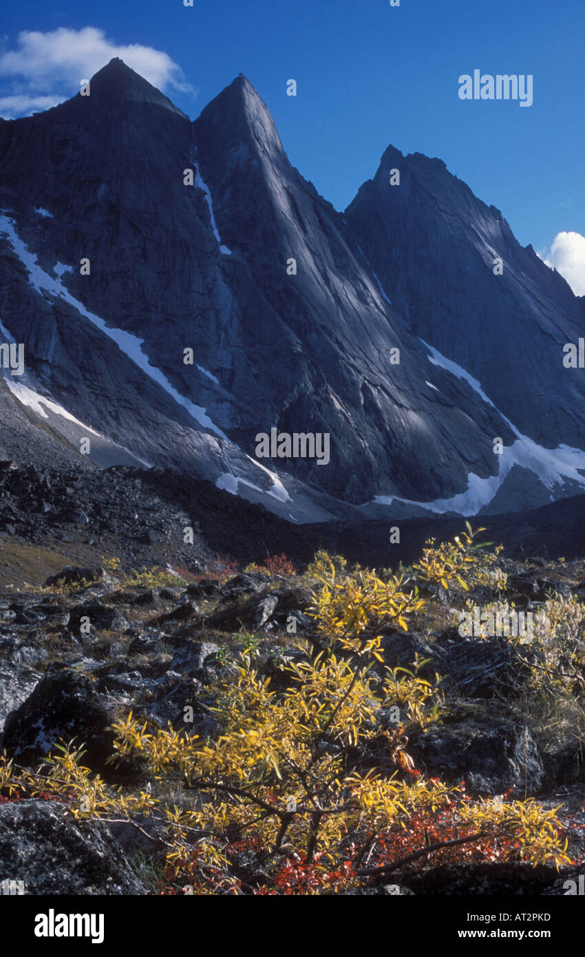 Arrigetch picchi delle montagne di granito in Brooks Range cancelli dell'Artico Parco Nazionale autmn Alaska USA Foto Stock