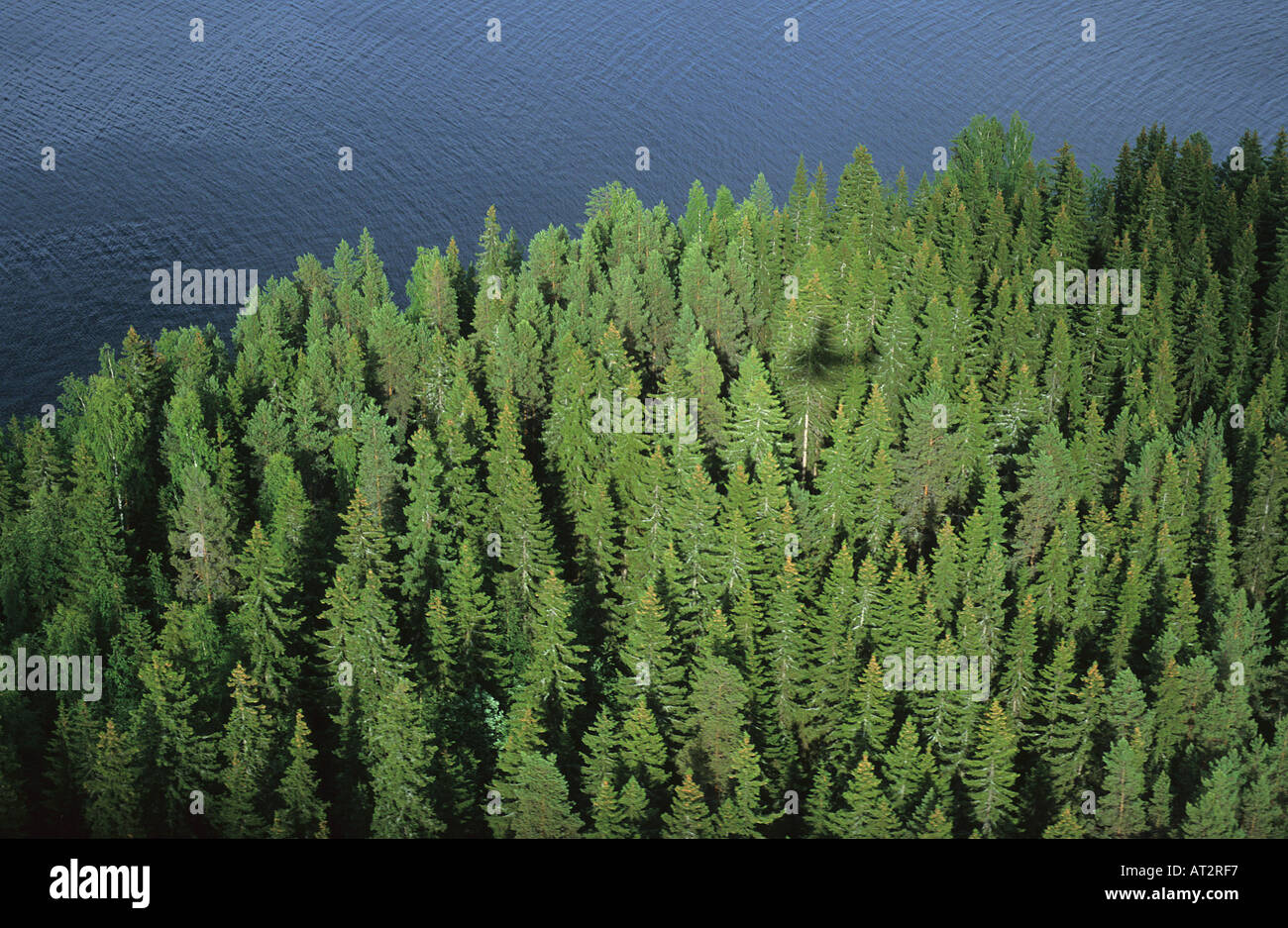 Laghi di Kuopio FINLANDIA vista aerea Foto Stock
