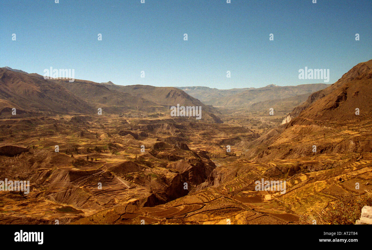 Inca e terrazzamenti Pre-Inca, Superiore Canon del Colca, Perù Foto Stock