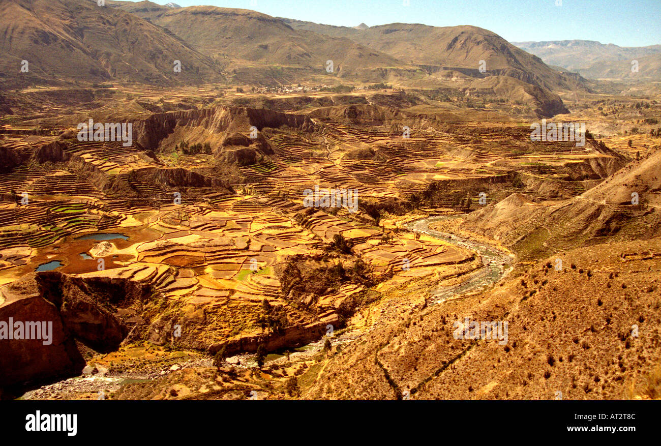 Inca e terrazzamenti Pre-Inca, Superiore Canon del Colca, Perù Foto Stock