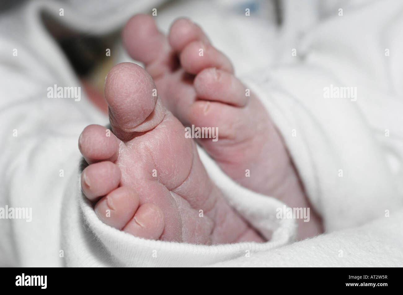 Piedi di neonato caucasian baby boy in ospedale Foto Stock