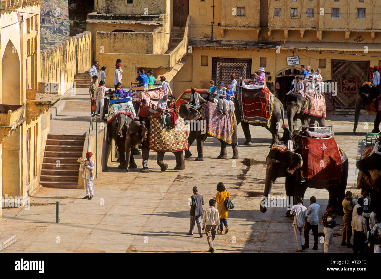 Elefanti indiani che trasportano i turisti alla collina Amber Palace cortile, Amer vicino Jaipur IN Foto Stock