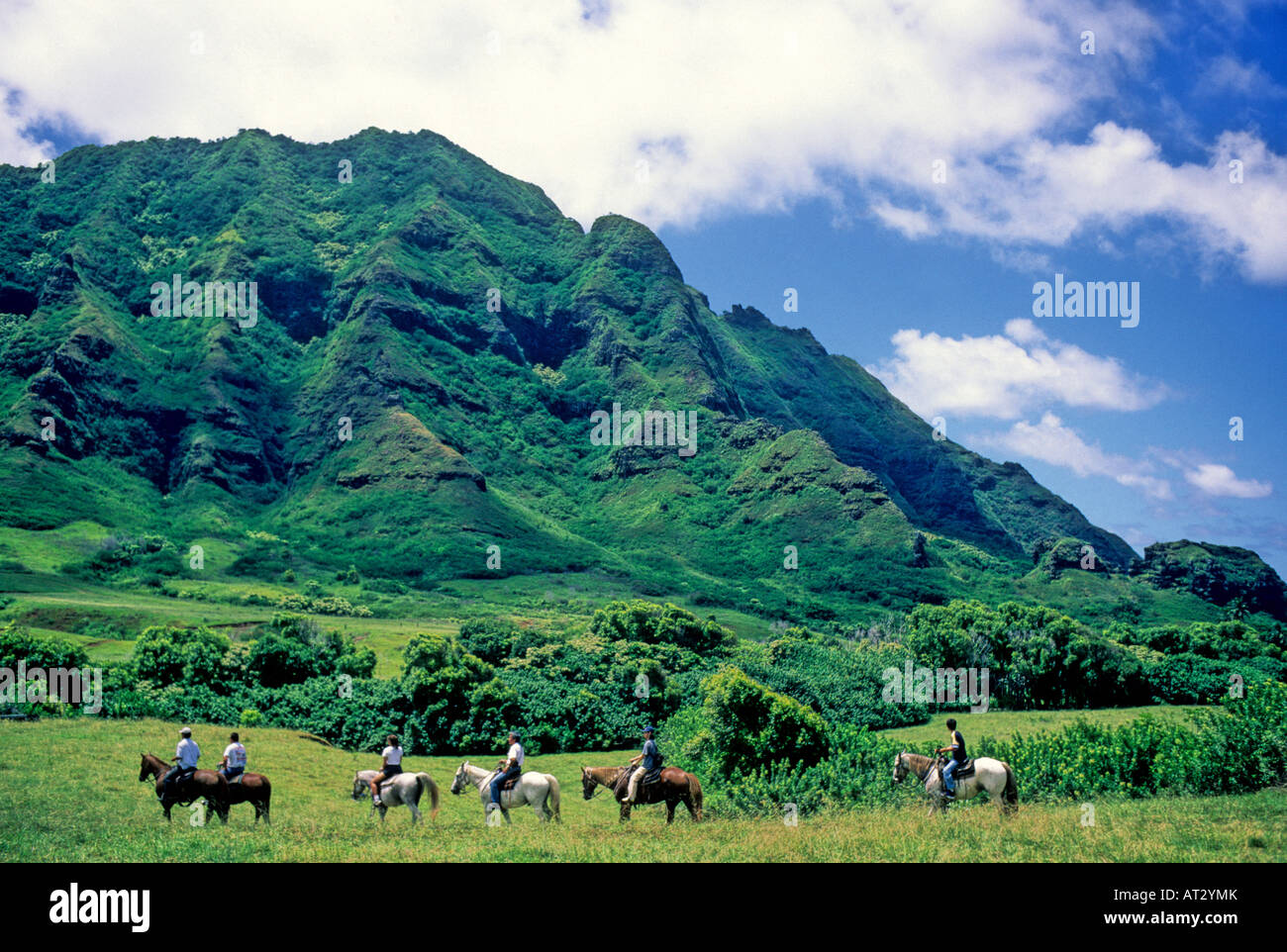 Equitazione a Kualoa Ranch esplorare Kaaawa Valley Foto Stock