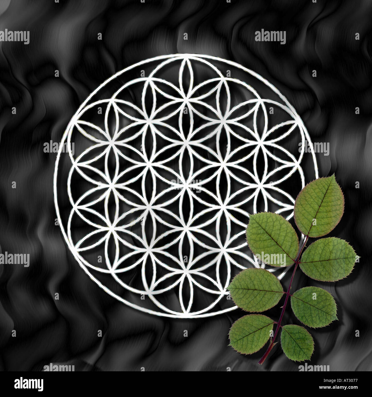 Fiore della vita antica pattern sacra Foto Stock