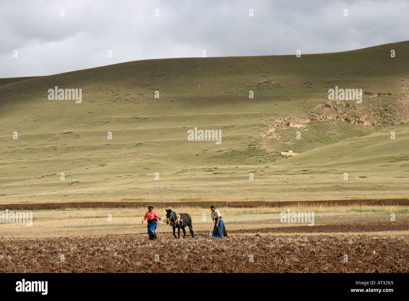 Donne locali di agricoltori arare il loro campo tirata con un cavallo nella provincia di Gansu, vicino a Xiahe, Cina Foto Stock