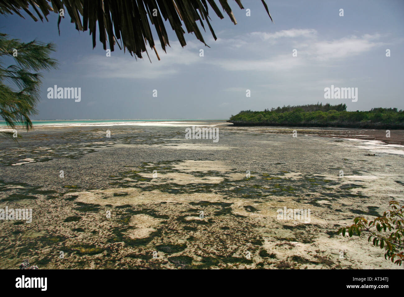 Una vista della spiaggia sulla costa est di Zanzibar, a nord di Bwejuu, con la bassa marea Foto Stock