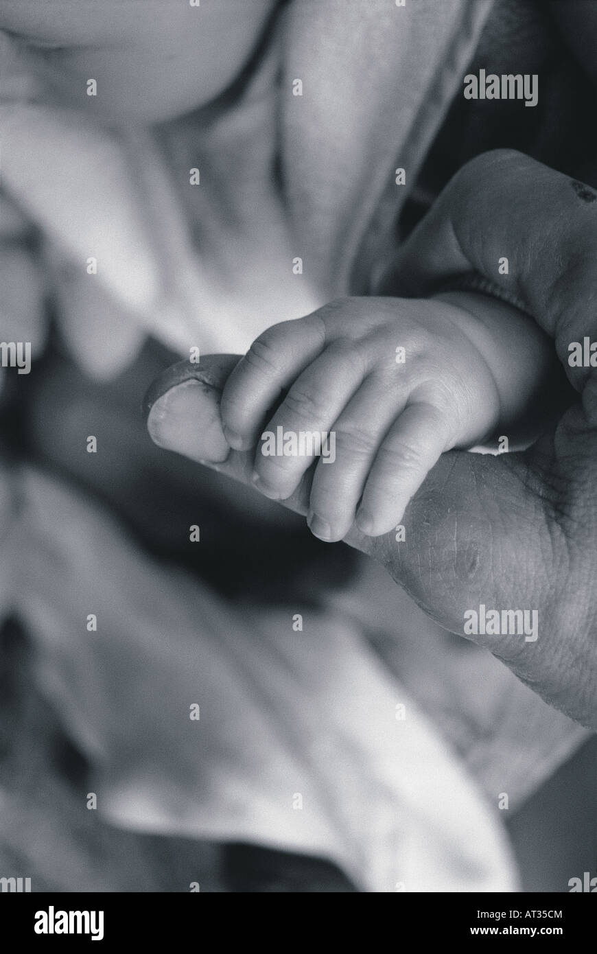 Un bambino la mano afferrando un uomo con il pollice Foto Stock