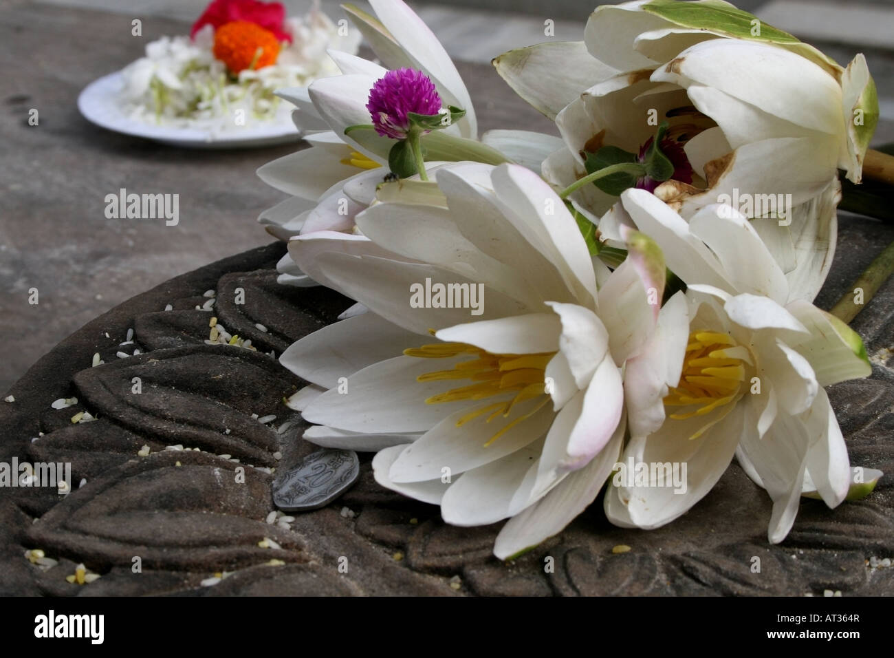 Offerte di fiori a sinistra da pellegrino , Chaukramana ( chiostro a piedi ) , il tempio di Mahabodhi , Bodhgaya, , Bihar , India Foto Stock