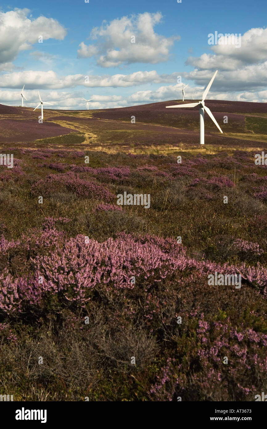Wind Turbine di potenza produzione sostenibile di energia elettrica per la parte di Cumbria, Kirkby Moor Wind Farm, REGNO UNITO Foto Stock