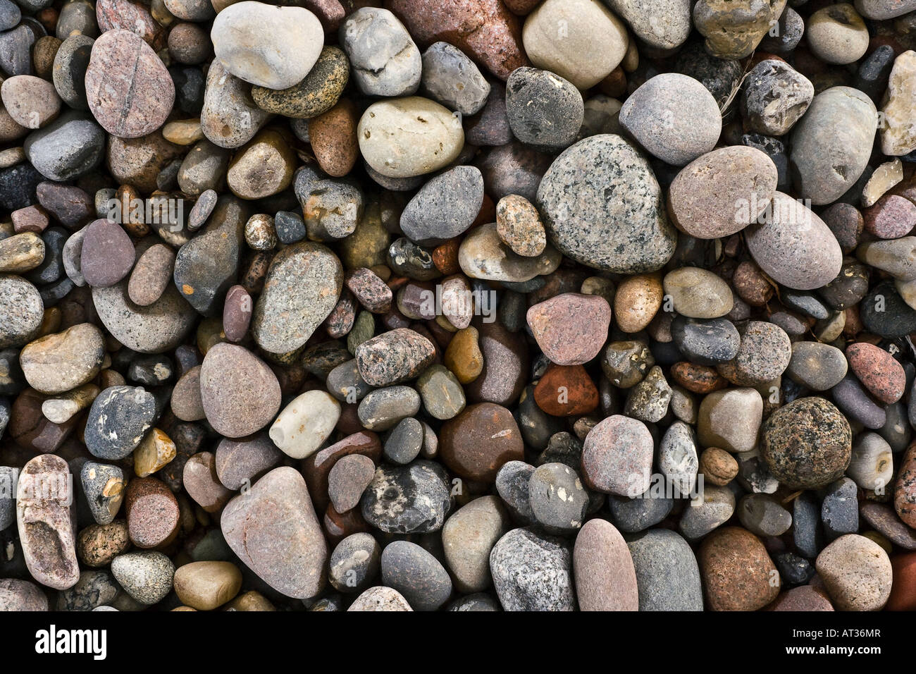 Una raccolta di ciottoli colorati la Steilküste spiaggia vicino Kühlungsborn, Germania. Foto Stock