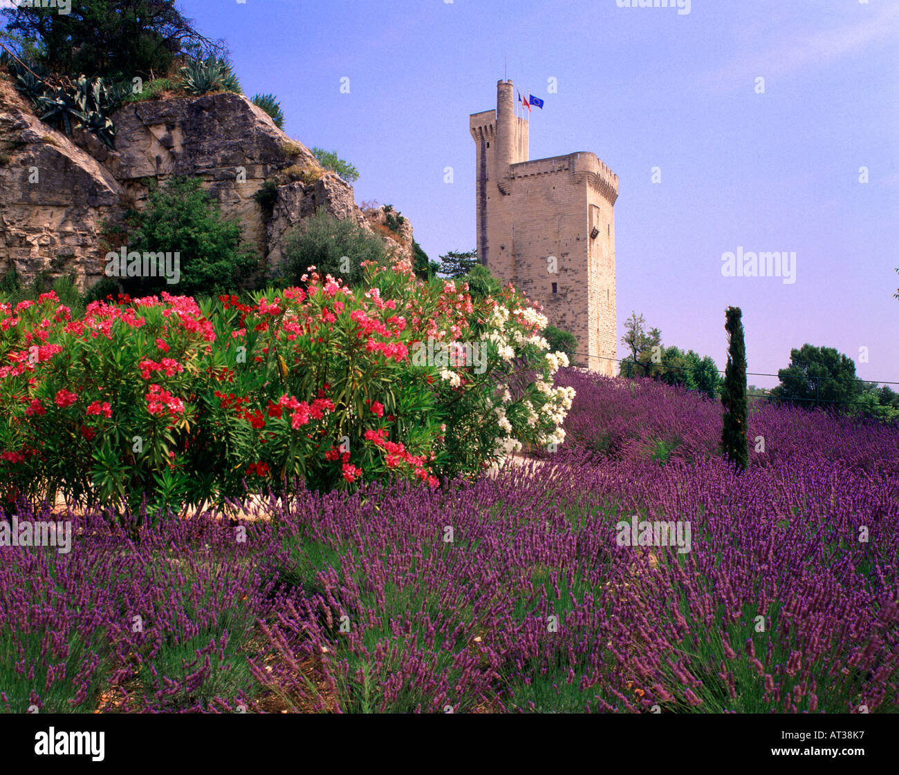 Torre di Philppe le Bel Villeneuve les Avignon Provence Francia Foto Stock