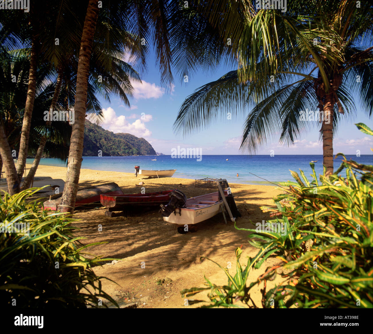 Spiaggia Tropicale scena Tobago Foto Stock