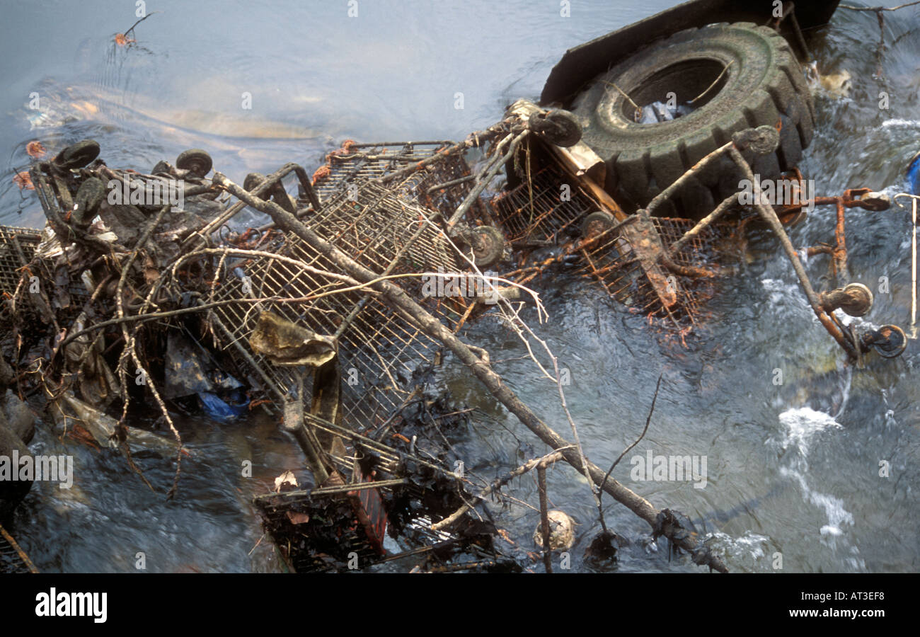 Shopping trollies e altri detriti nel fiume Frome, Somerset, Inghilterra Foto Stock