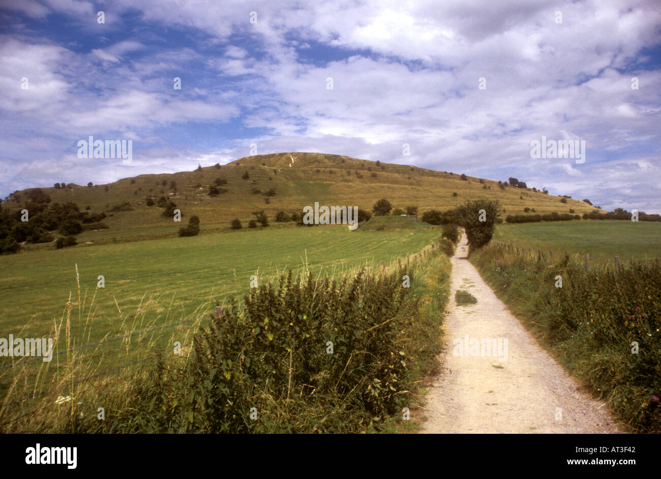 Cley collina vicino Warminster Wiltshire, Inghilterra Foto Stock