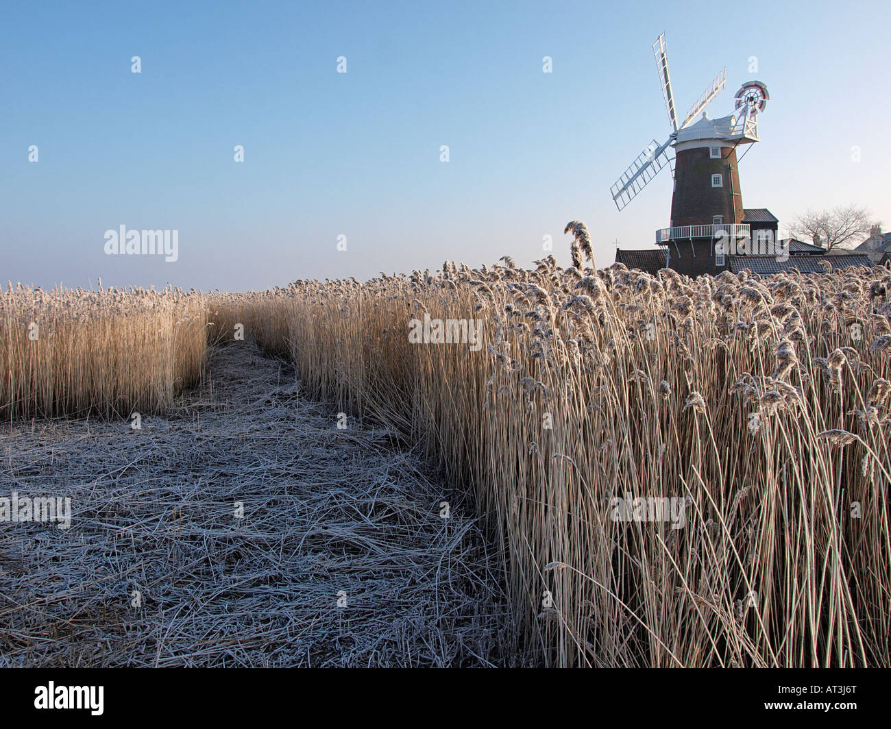 Vista invernale di cley windmill con coperto di brina canneti, cley north norfolk England Regno Unito Foto Stock