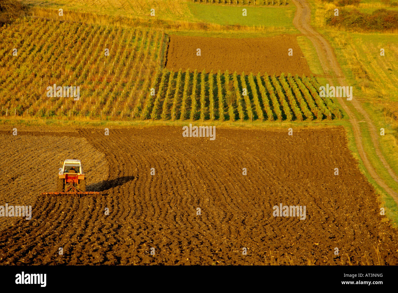 Agricoltura in Europa - Contadino in aratura del trattore nel suo campo in Auvergne. Francia Foto Stock