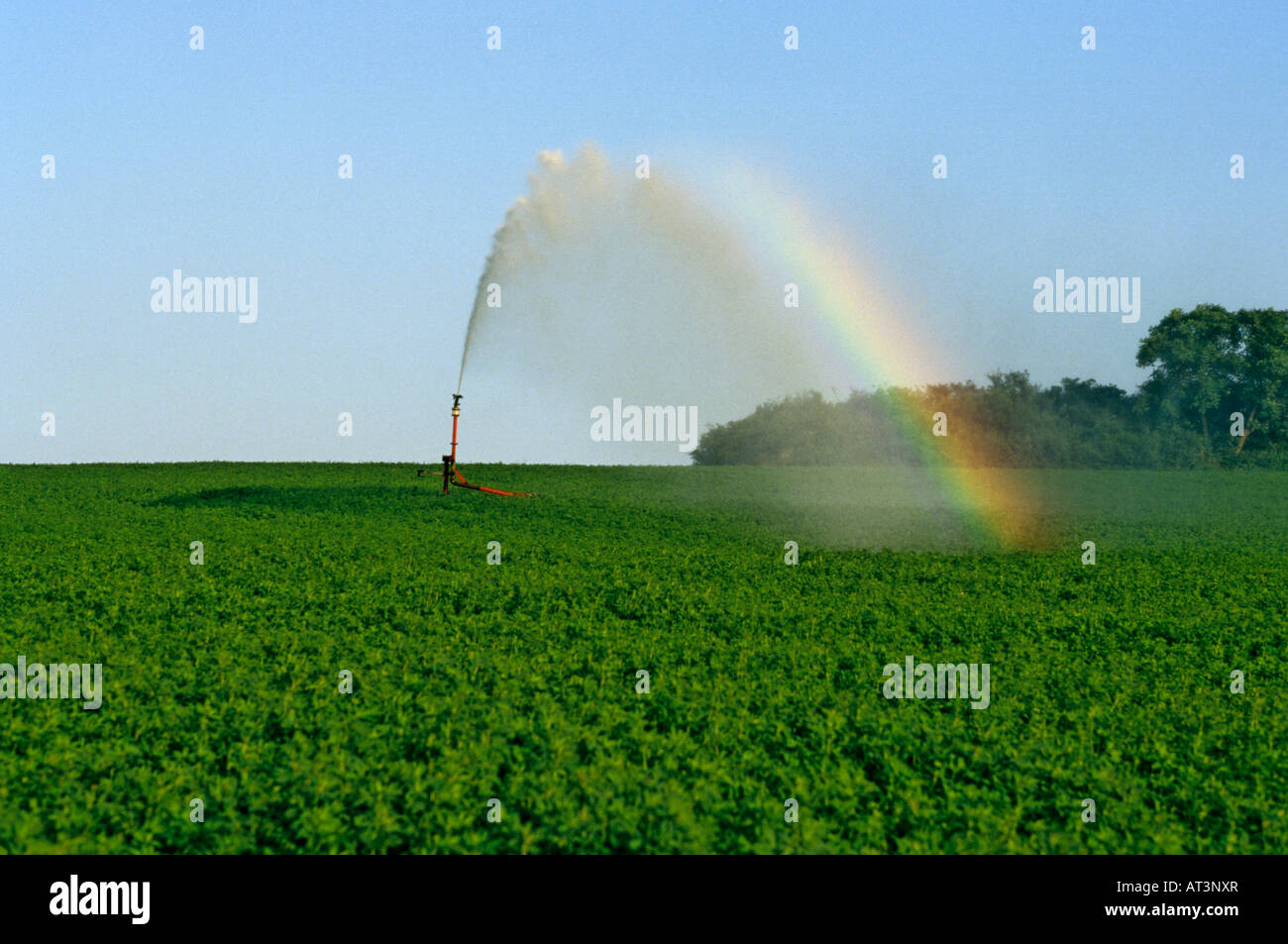 Impianto di irrigazione irrigazione un campo, Limagne, Auvergne Francia, Europa Foto Stock