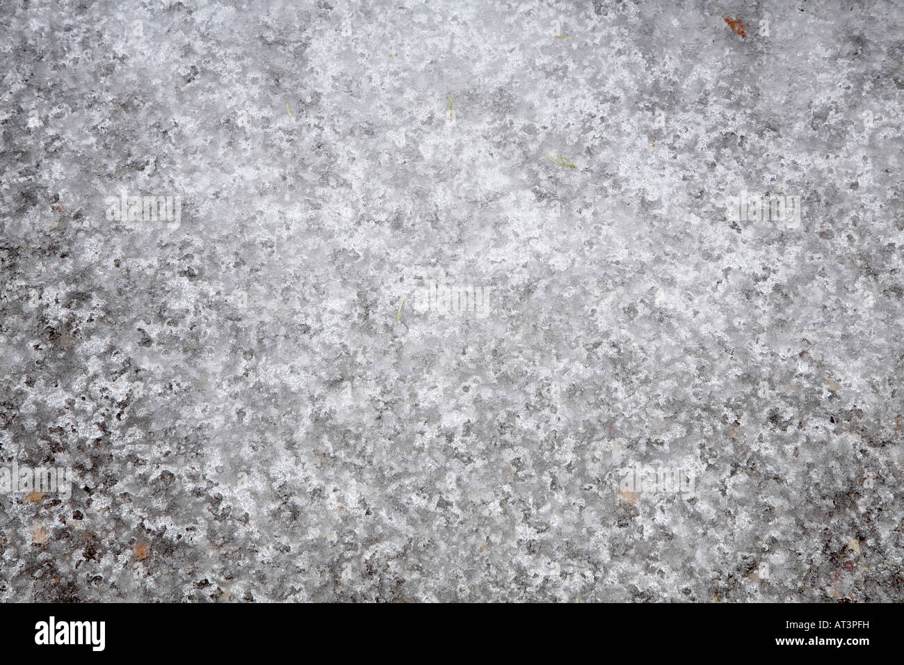 Croccanti semi trasparente ghiaccio in grigio e bianco in basso di fusione di ghiaia costellato di seguito concreto. Foto Stock