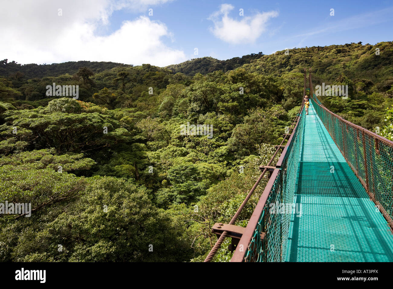 Santa Elena elevato ponte sospeso al di sopra di baldacchino della foresta nuvola Foto Stock