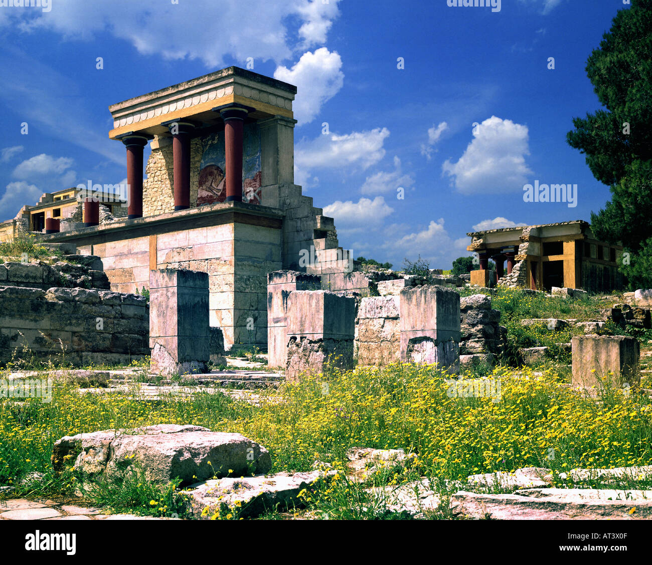GR - Creta: palazzo minoico di Cnosso Foto Stock