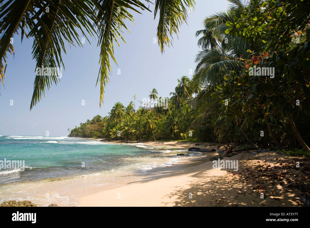 Costa Rica Costa Caraibica Manzanillo sabbiosa spiaggia orlata di palme Foto Stock