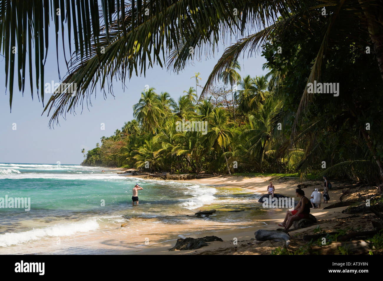 Costa Rica Costa Caraibica Manzanillo sabbiosa spiaggia orlata di palme Foto Stock