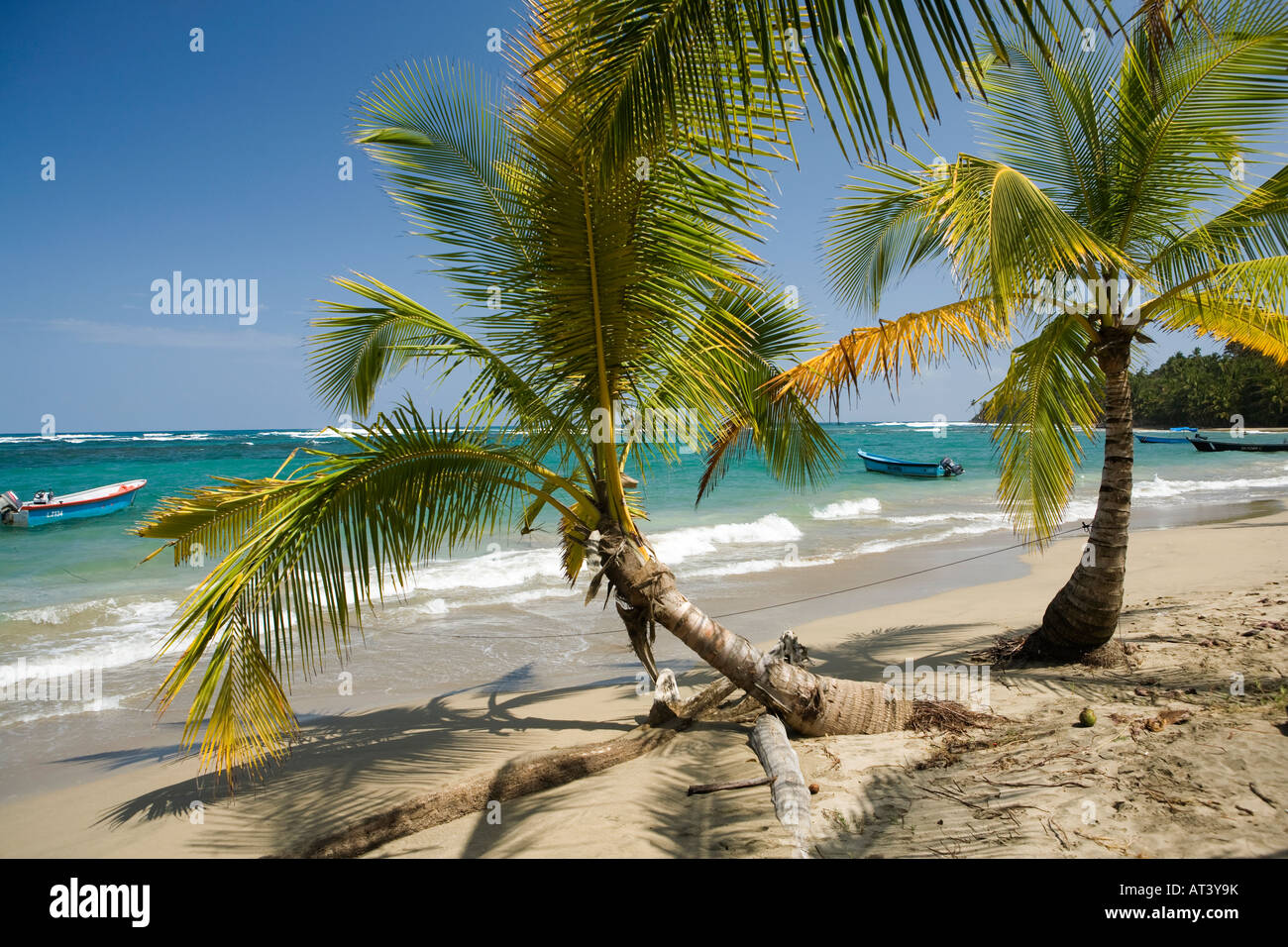 Costa Rica Costa Caraibica Manzanillo sabbiosa spiaggia orlata di palme Foto Stock