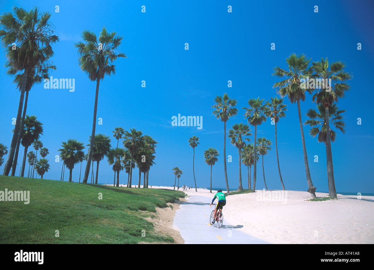 Ciclista a cavallo sul percorso lungo Venice Beach California Foto Stock