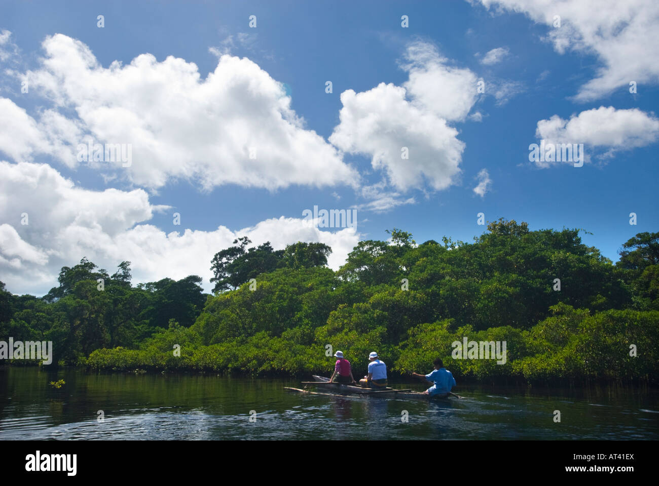 Le zone umide foreste di mangrovie trail Samoa Upolu costa sud vicino SAANAPU Saanapu-Sataoa Mangrove Conservation Area viaggiatori boat people Foto Stock