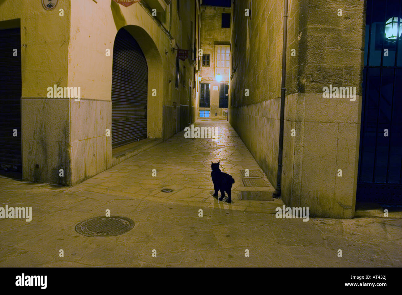 Un gatto nero si aggira intorno sulle strade vuote di Palma de Mallorca (Spagna) a notte Foto Stock