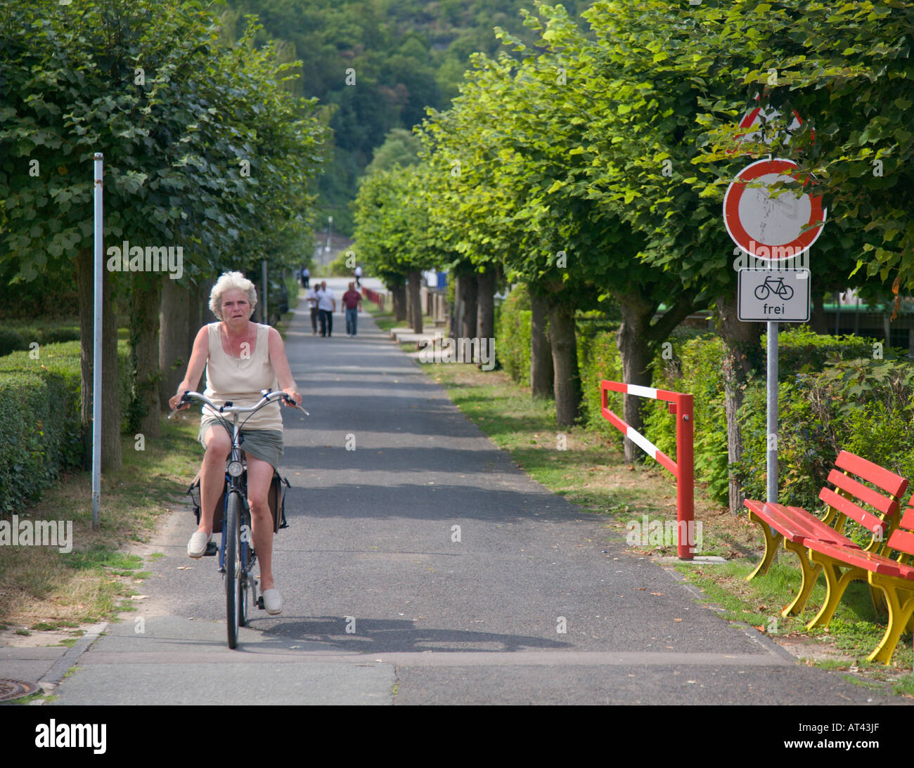 Ciclista su un apposito ciclo-pedonale in modo St Goar valle del Reno in Germania Foto Stock