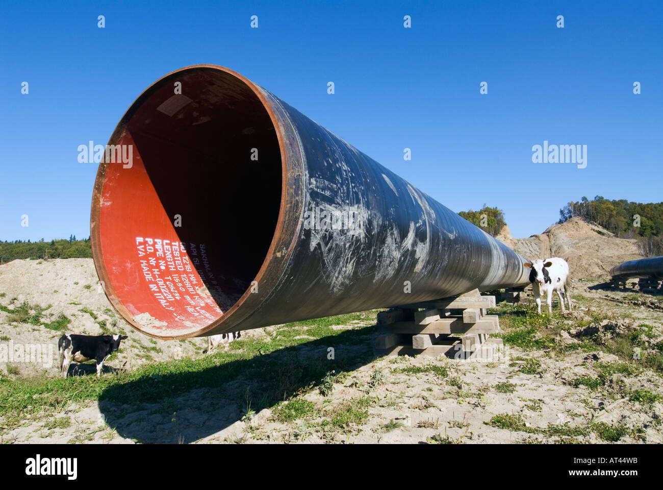 Costruzione di gasdotti da energia di Sakhalin per gas LNG trasporto sull isola di Sakhalin in Russia 2006 Foto Stock