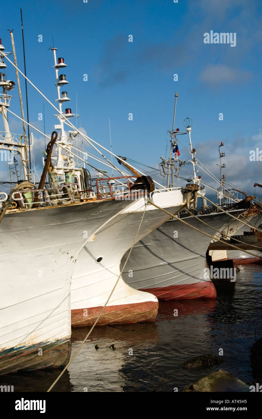 Barche da pesca nel porto di Yuzhno Kurilsk sull isola Kunashir nelle isole Curili in Estremo Oriente Russo Foto Stock