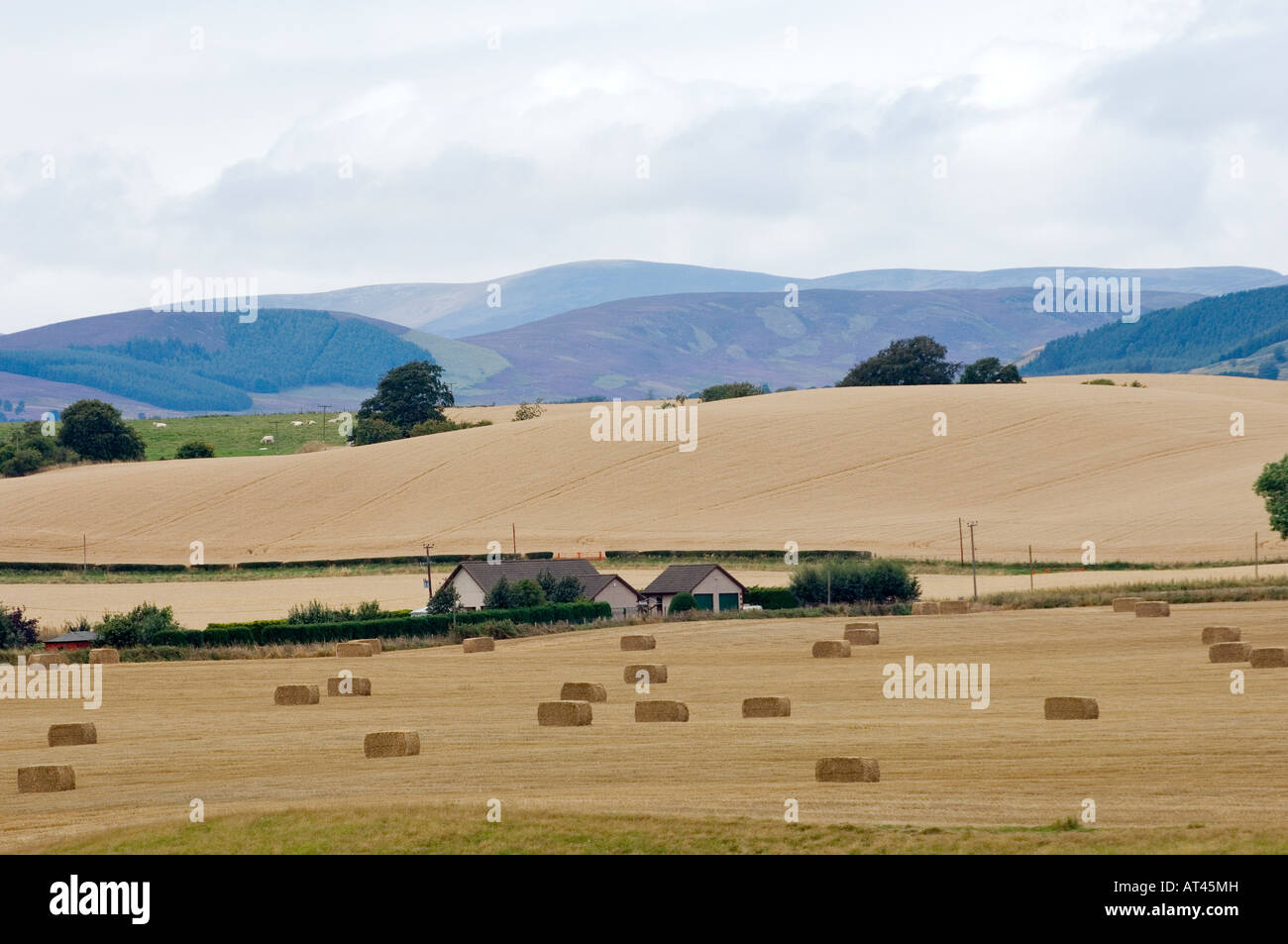 Terreni coltivati sul paesaggio del sud-est della Grampian Mountains vicino Laurencekirk, Aberdeenshire, Scozia Foto Stock