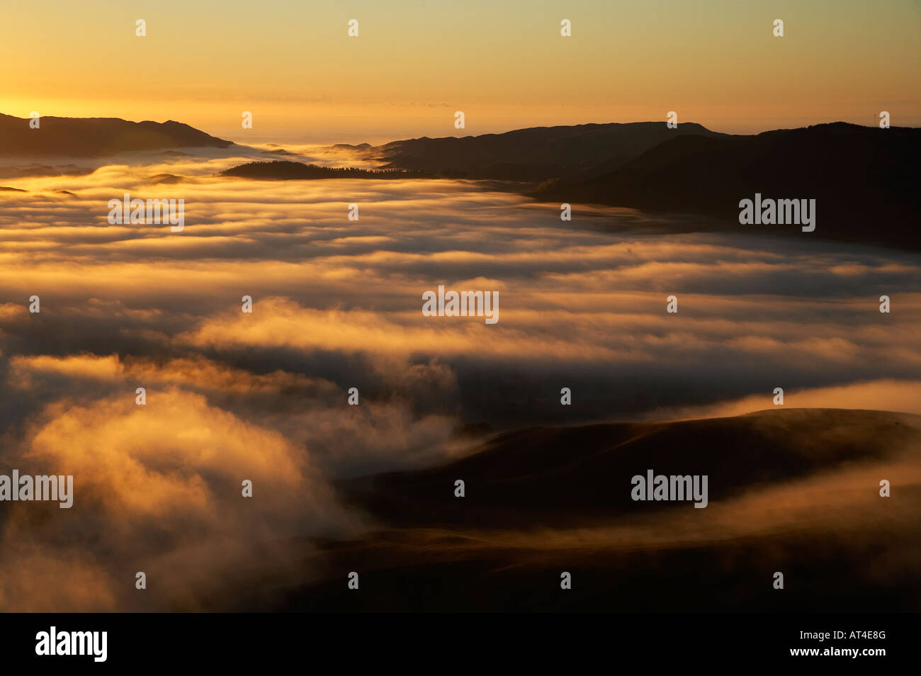 Vista da Te Mata picco e presto luce sulla mattina nebbia Hawkes Bay Isola del nord della Nuova Zelanda Foto Stock