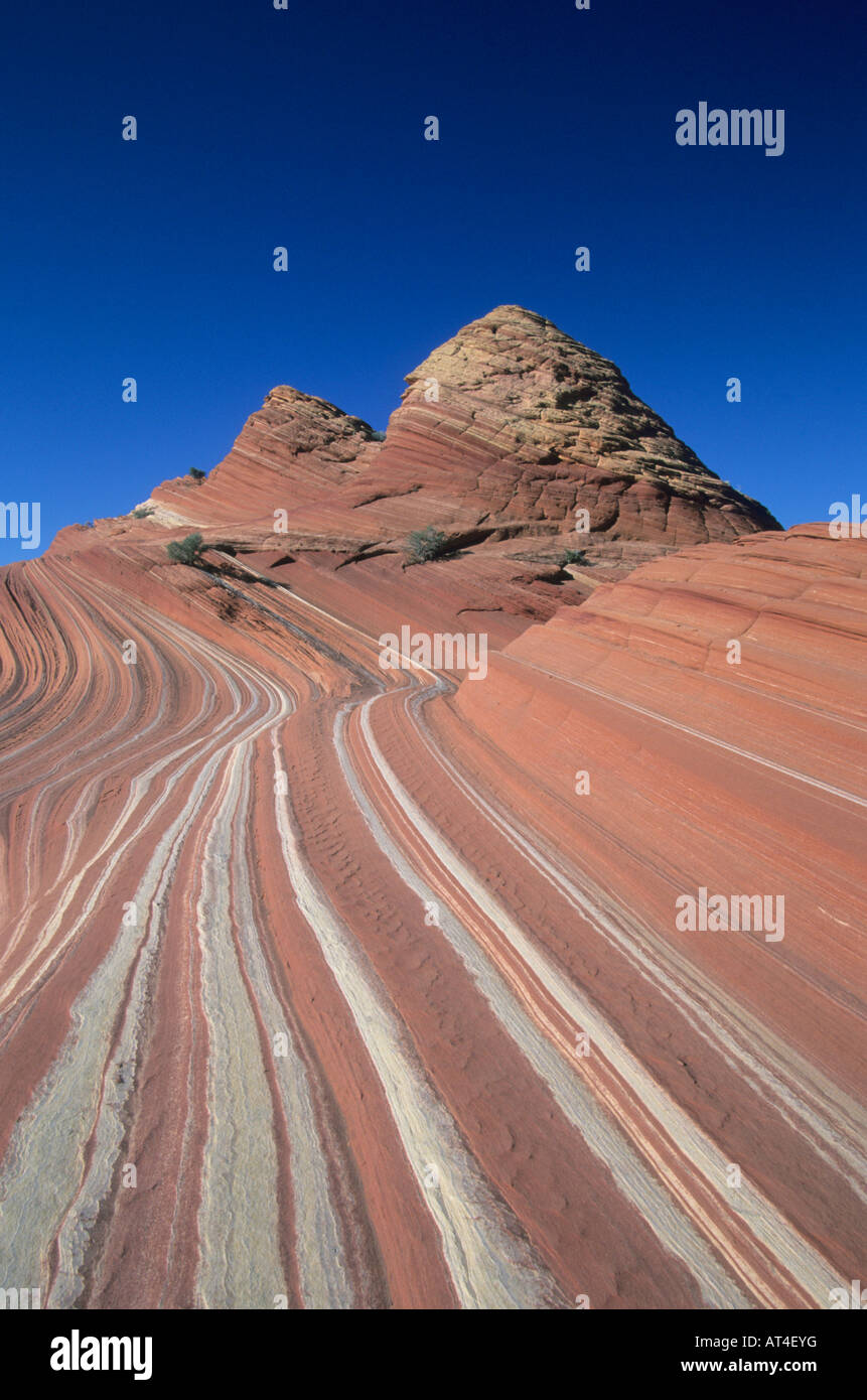 Stefan's Wave, strati di pietra arenaria, Coyote Buttes, scogliere Paria-Vermillion deserto dello Utah Foto Stock