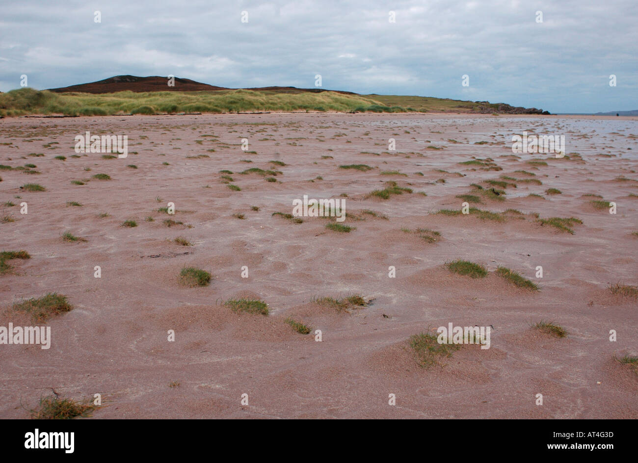 Le patch di erba che cresce in sabbia al fine di Achnahaird baia sotto l alta marea. Foto Stock