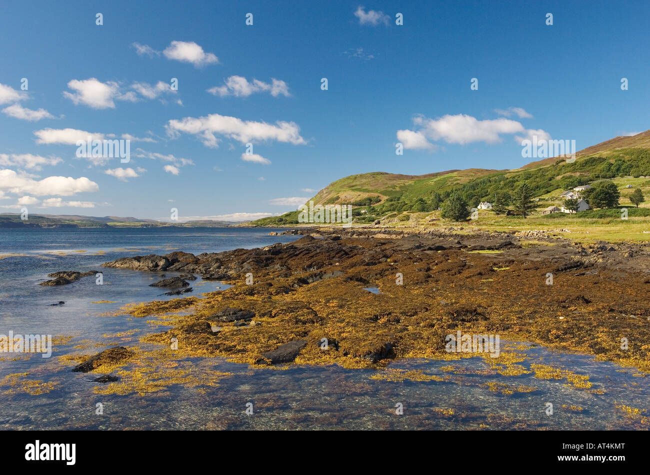 Pozze di marea e le alghe sulle rive della Baia di Kilchoan sulla penisola a Ardnamurchan, a ovest di Fort William, Highlands occidentali, Scozia Foto Stock