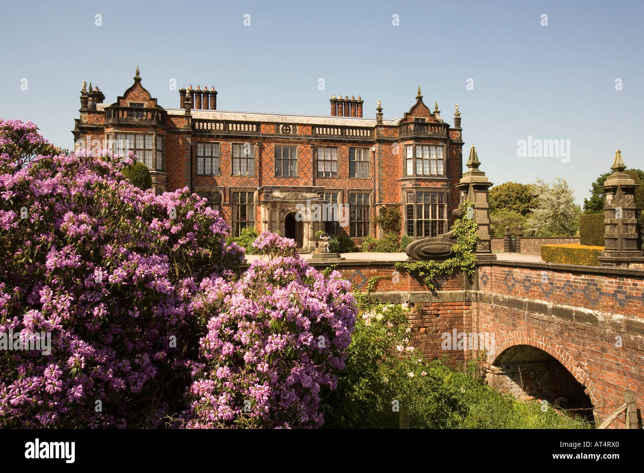Cheshire Arley Hall dal giardino con rododendri in fiore Foto Stock
