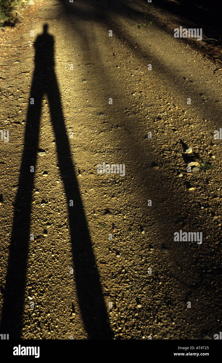 Lunga ombra dell uomo sulla pista forestale, Australia Foto Stock