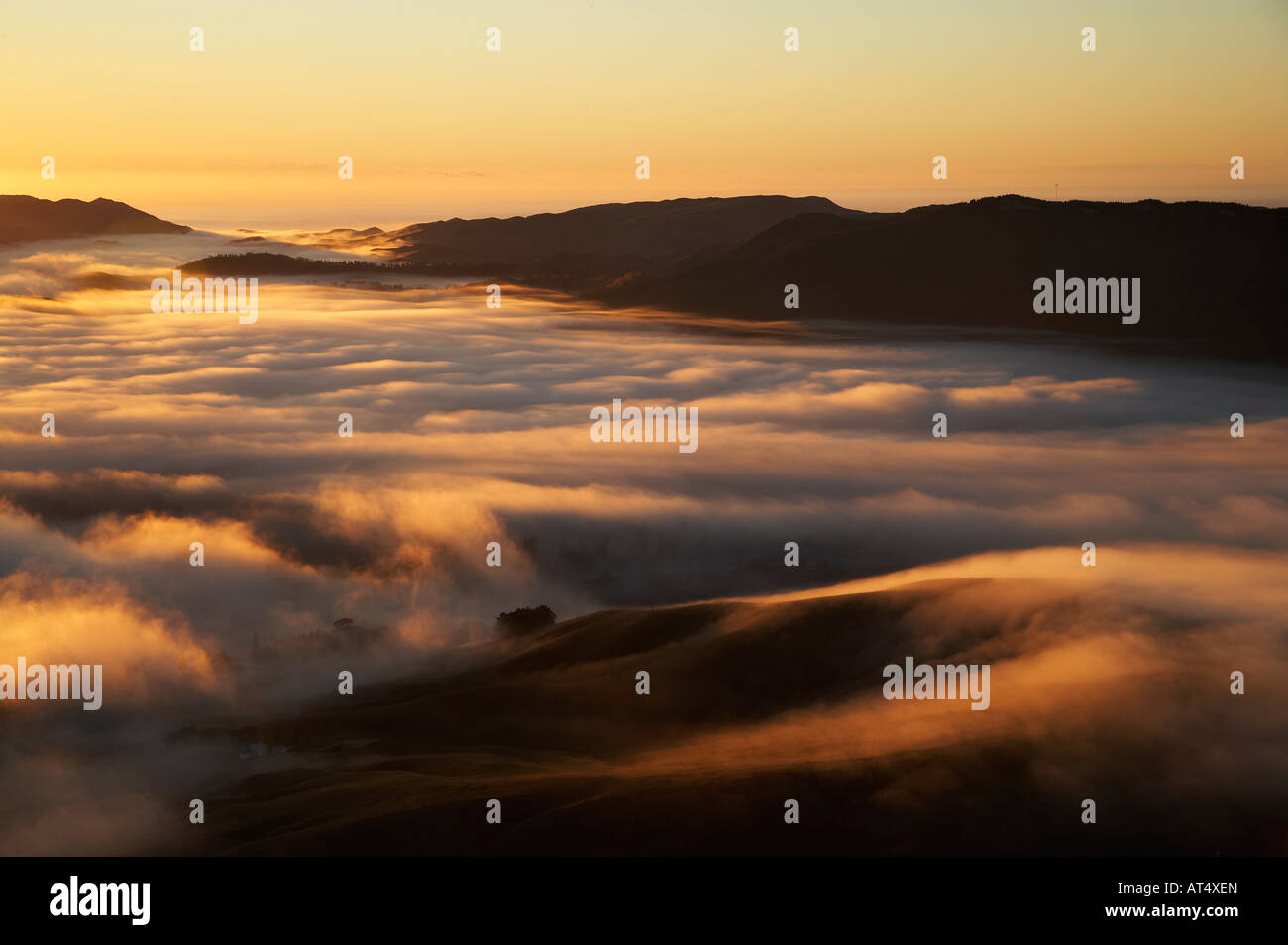 Vista da Te Mata picco e presto luce sulla mattina nebbia Hawkes Bay Isola del nord della Nuova Zelanda Foto Stock