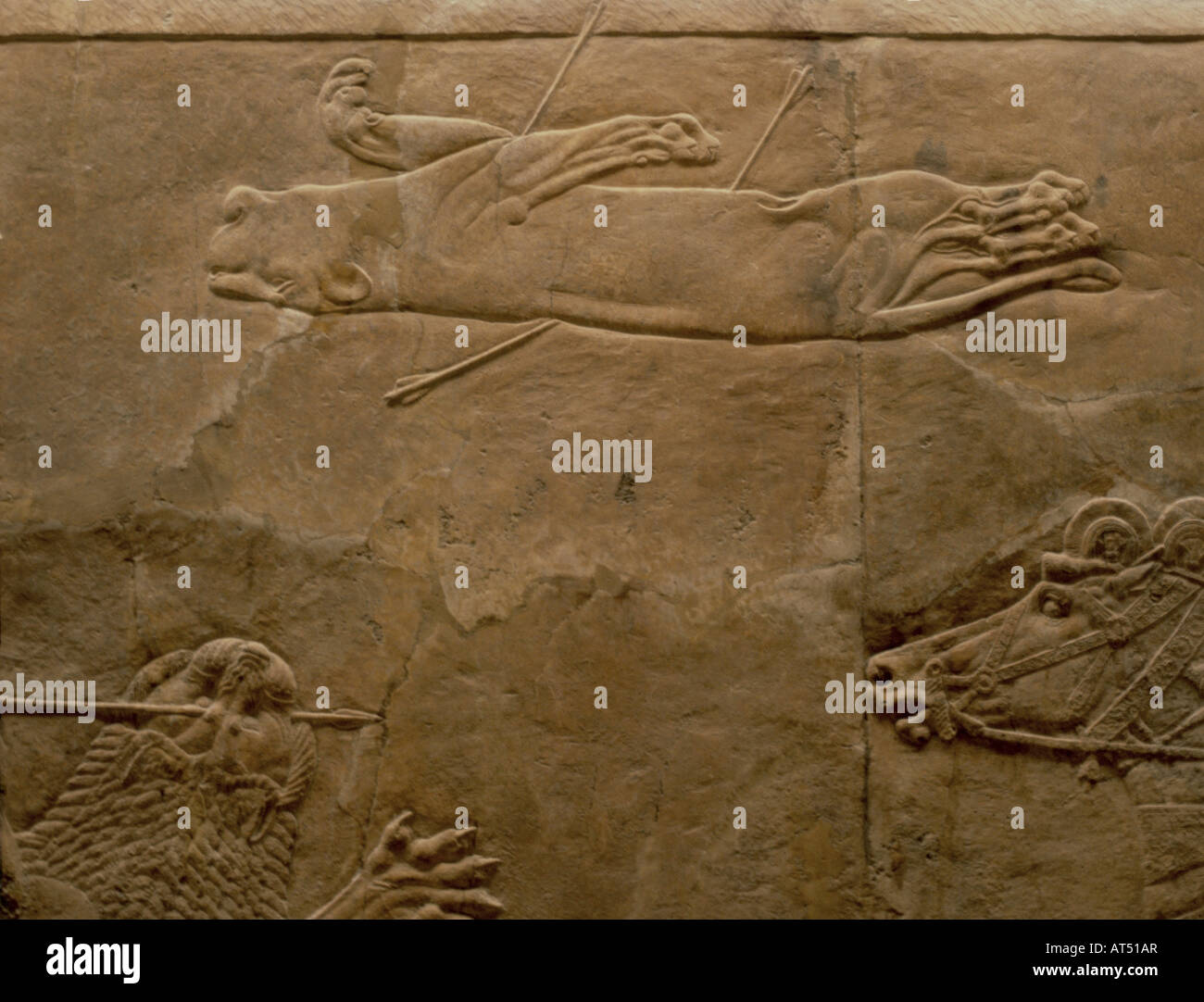 Belle arti, mondo antico, Assiri, lion hunt, leone morto, alabastro, Ninive, palazzo del re Ashurbanipal (regnò 668 - 626 BC), British Museum di Londra, , artista del diritto d'autore non deve essere cancellata Foto Stock