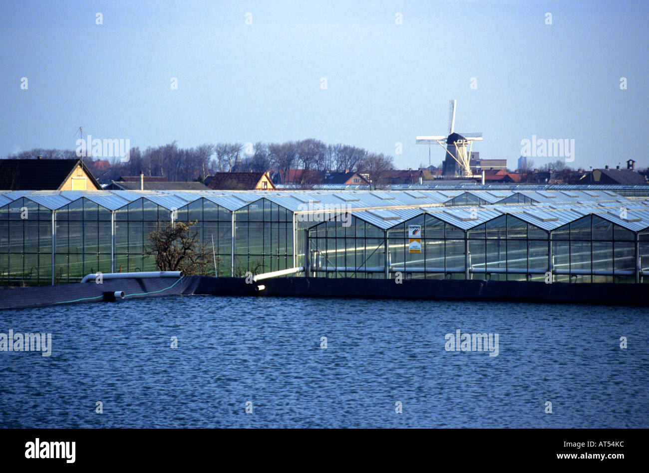 Paesi Bassi Westland serra serra verde Foto Stock