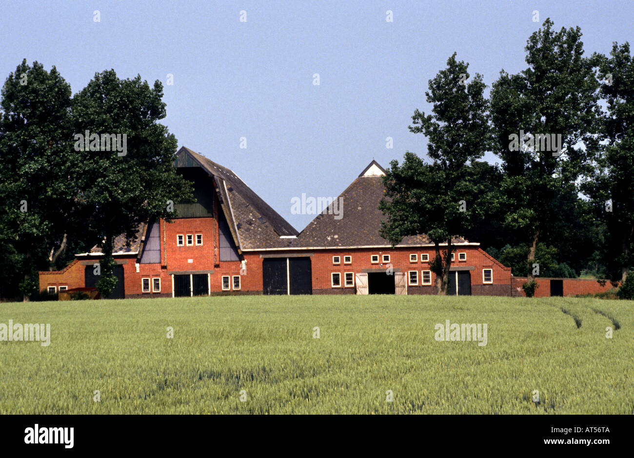 Paesi Bassi Groningen fattoria olandese Holland Foto Stock