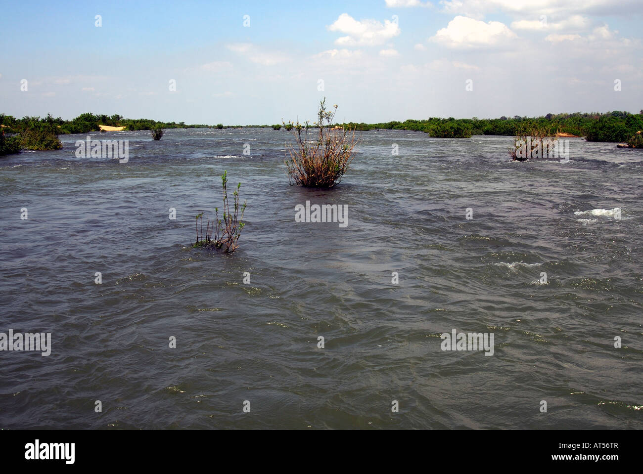 Rapide sul fiume Mekong,Kratie provincia,Cambogia Foto Stock