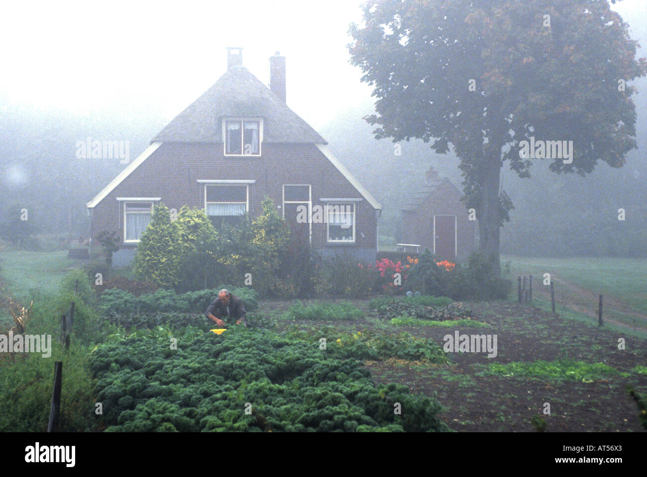 Paesi Bassi Olanda olandese misty fogg house Foto Stock