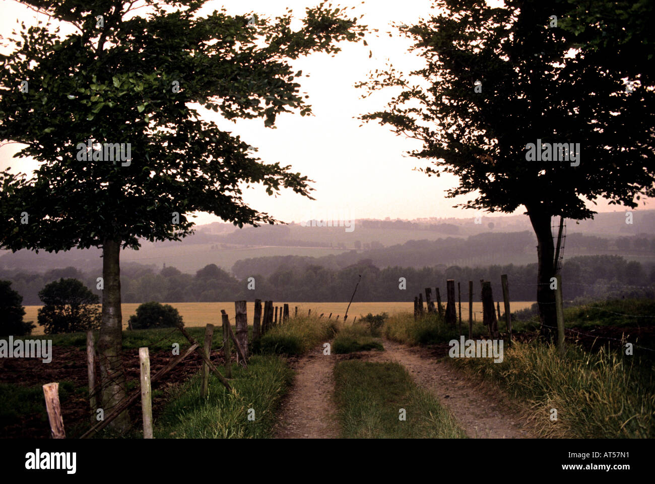 Limburg luce della sera sunset Foto Stock